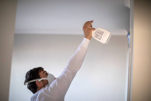 Best Attic Mold Removal  in Centerville, IN