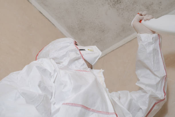 Best Mold Testing  in Centerville, IN