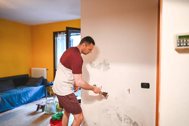 Best Emergency Mold Removal  in Centerville, IN